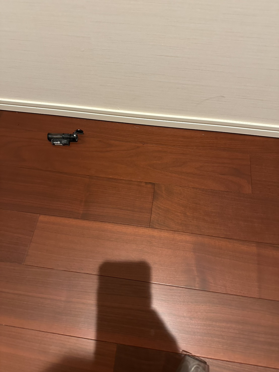 ウォークインクローゼット内 フローリング補修