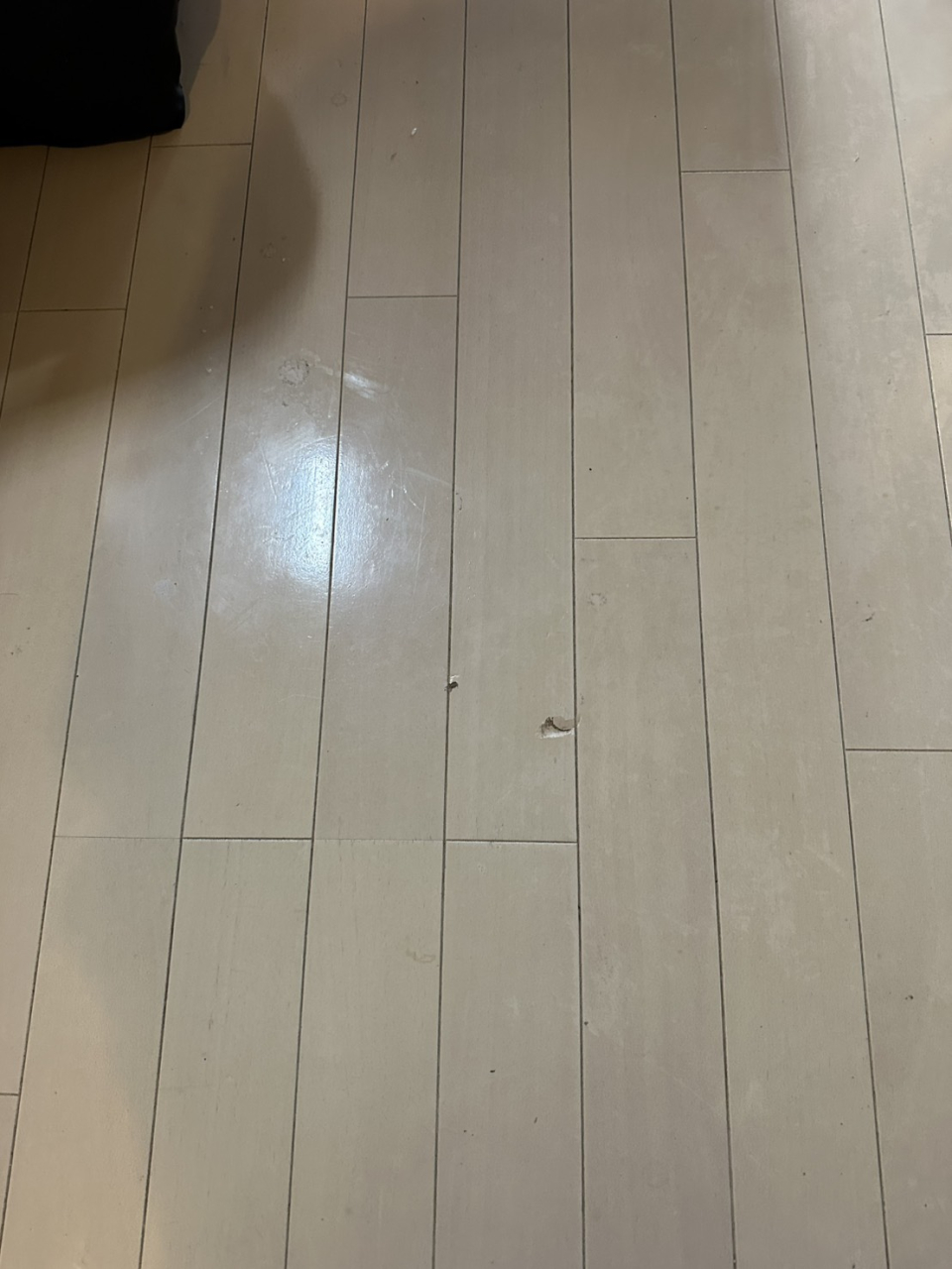 床凹み剝がれ補修