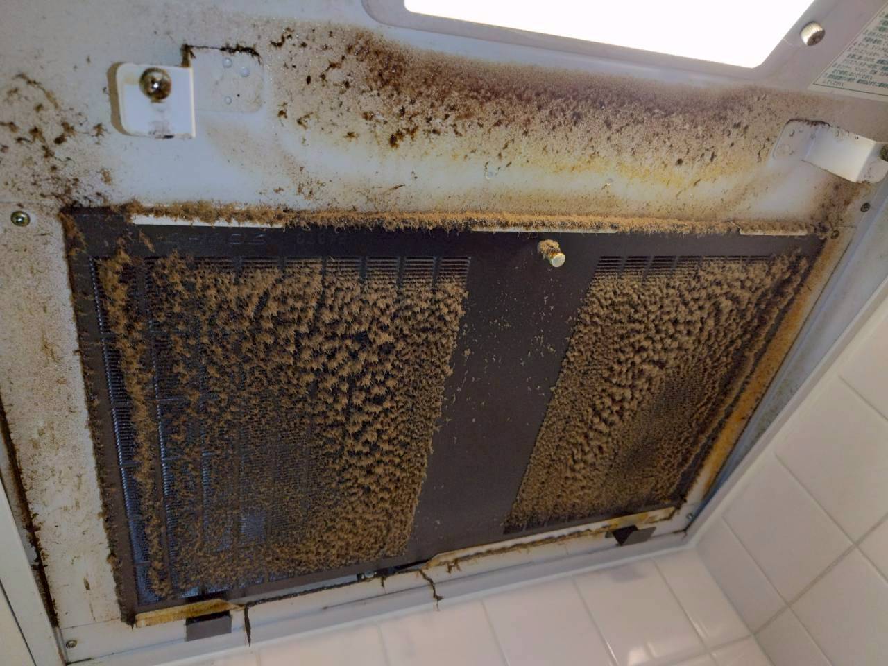 キッチン換気扇クリーニング