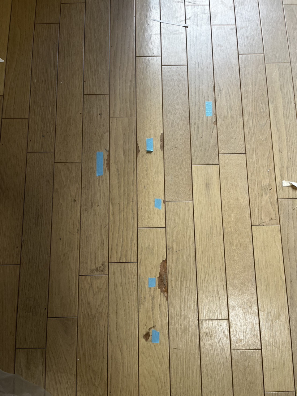 床剥がれ補修