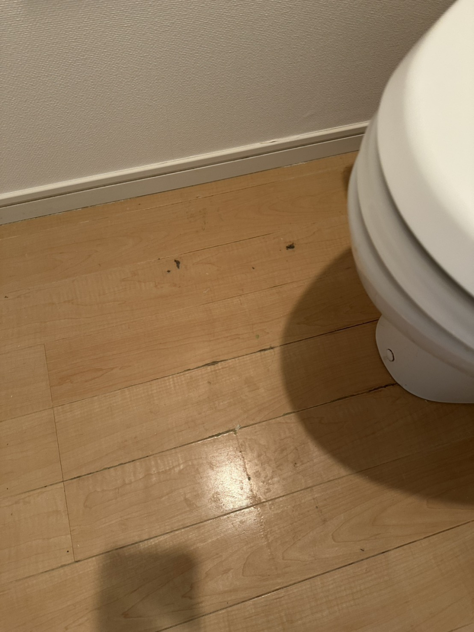 トイレ床補修